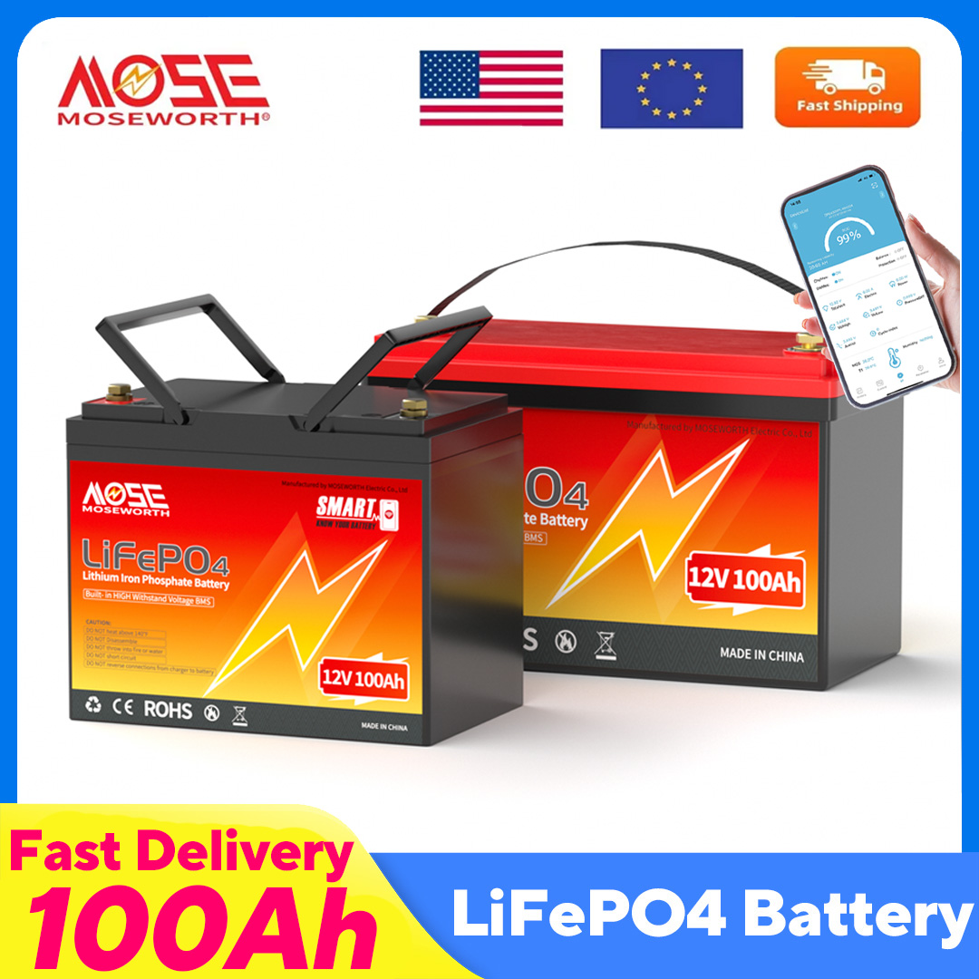 Lifepo4 12V 100Ah Bms Bluetooth - MOSEWORTH LiFePO4 12V 100Ah Battery Pack
