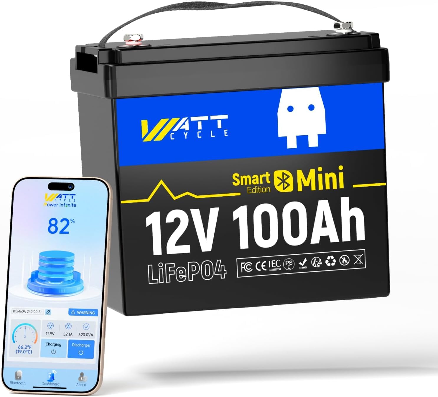12V 100Ah Mini LiFePO4 Battery - Lifepo4 12V 100Ah Bms Bluetooth review and price