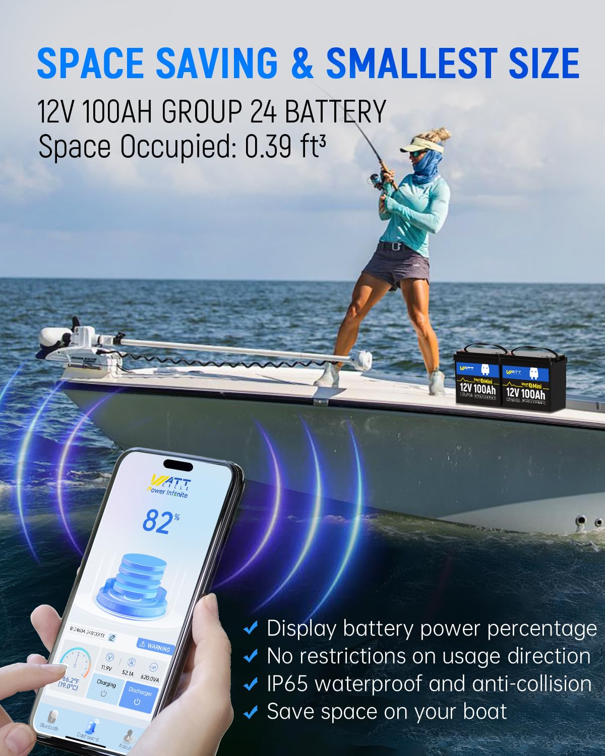 12V 100Ah Mini LiFePO4 Battery - Lifepo4 12V 100Ah Bms Bluetooth review and price