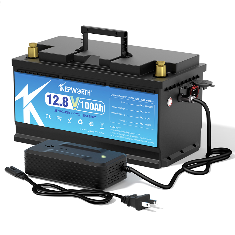 12V 24V 100AH 120AH 300AH LiFe - Lifepo4 12V 100Ah Bms Bluetooth review and price
